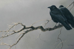 Robert Bateman, Crow companions