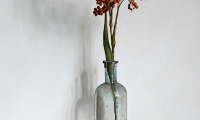 Rob Møhlmann, Oranje besjes met zalfpotje, olieverf op paneel, 50 x 40 cm