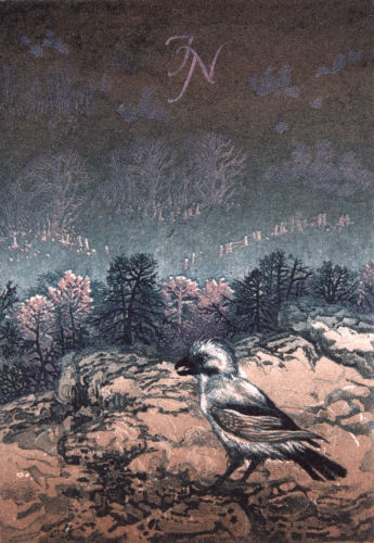Anneke Kuyper – Witte raaf, 2013, kleurengravure, 10×6,7cm