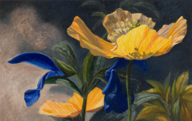 Dina Belga – Oranjeblauw, 2013, olieverf op papier, 9x14cm