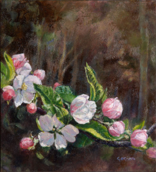 Gezien van de Riet – Appelbloesem, 2013, olieverf op paneel, 15,8×14,4cm