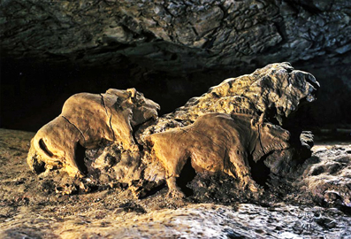 Stel bisons van klei in de Grot van de Drie Broers (Fr.) 15000 jaar oud en meteen onovertroffen